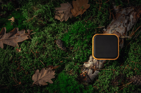 Skutečná udržitelnost